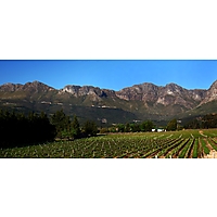 Mellasat Vineyards image